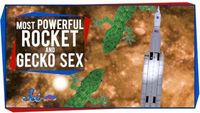 The Most Powerful Rocket Ever, and Gecko Sex in Space