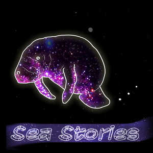 Constellations