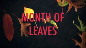 Month of Leaves