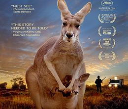 image-https://media.senscritique.com/media/000017662253/0/kangaroo.jpg