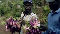 Valens's Return Home: A Rwandan Genocide Offender 22 Years On