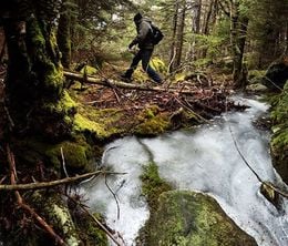 image-https://media.senscritique.com/media/000017673185/0/sasquatch_in_new_england.jpg