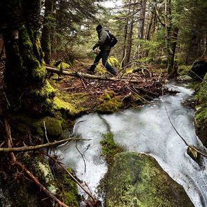 Sasquatch in New England