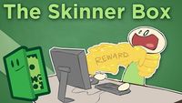 The Skinner Box