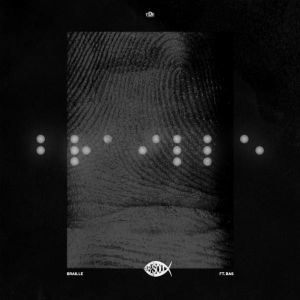 Braille (Single)
