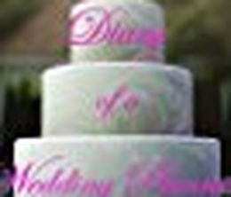 image-https://media.senscritique.com/media/000017675508/0/Diary_of_a_Wedding_Planner.jpg