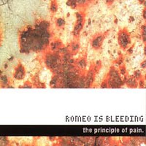 The Principle of Pain (EP)