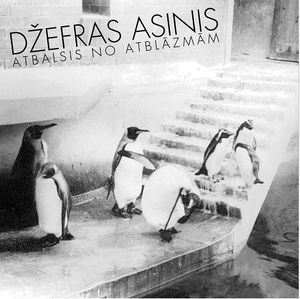 Atbalsis no atblāzmām