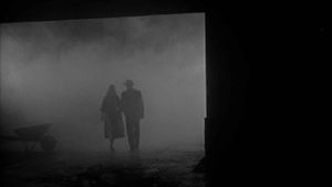 Plans sur plans - Le film noir