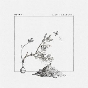 Salt + Charcoal (Single)