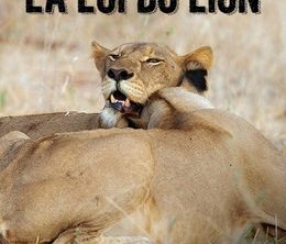 image-https://media.senscritique.com/media/000017699394/0/La_Loi_Du_Lion.jpg