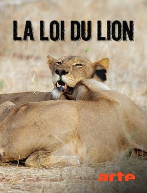 La Loi Du Lion