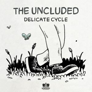 Delicate Cycle (Single)
