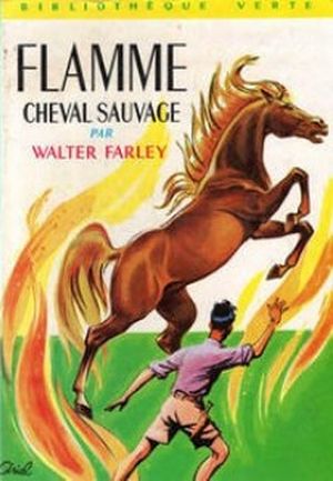 Flamme, cheval sauvage