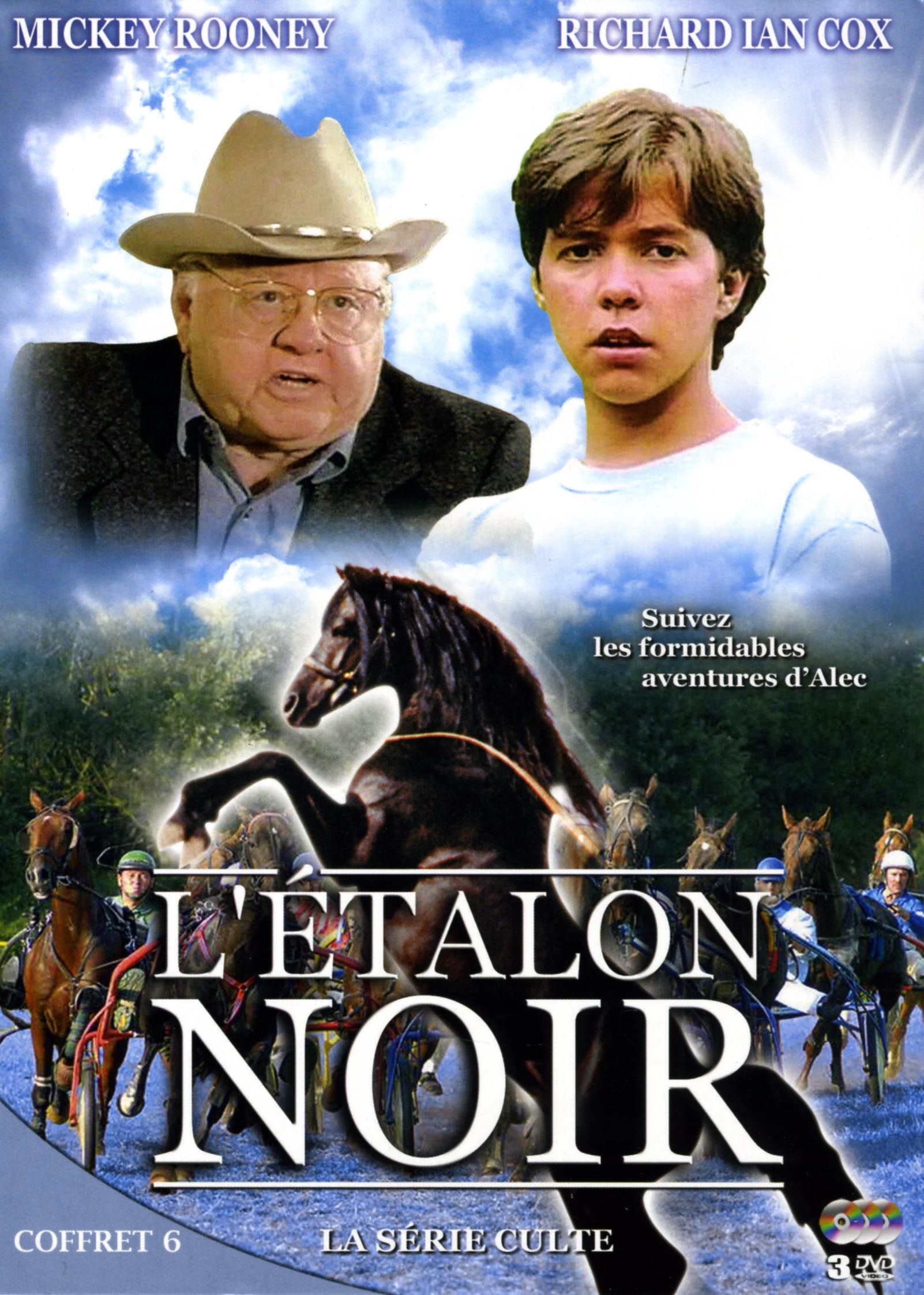 L étalon Noir Streaming L'Étalon noir - Série (1990) - SensCritique
