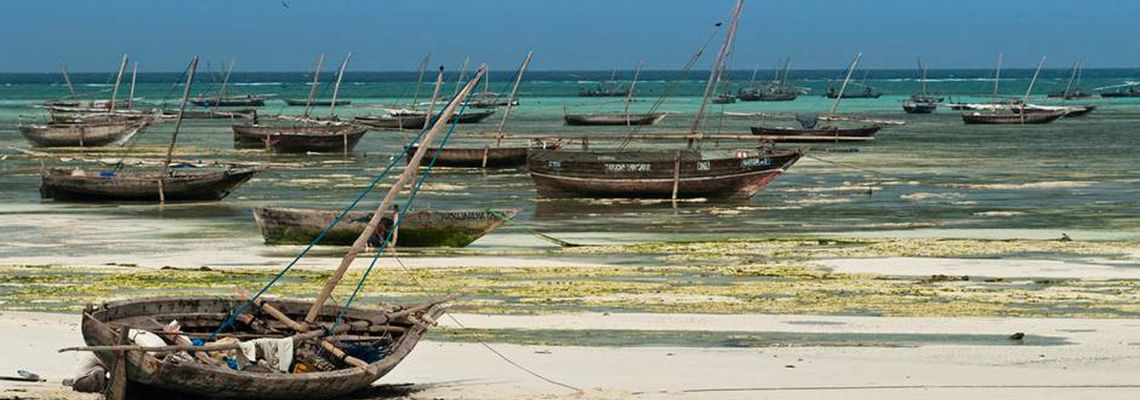 Cover Îles de beautés