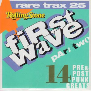 Rolling Stone: Rare Trax, Volume 25: First Wave, Part Two: 14 Pre & Post Punk Greats