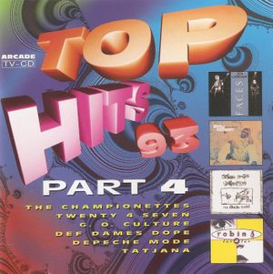 Top Hits 1993–4