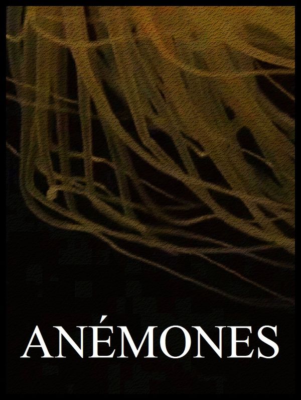 Anémones