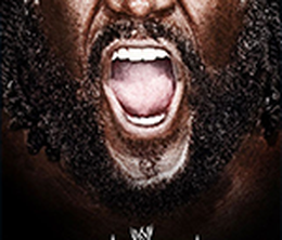 image-https://media.senscritique.com/media/000017725326/0/wwe_vengeance_2011.png