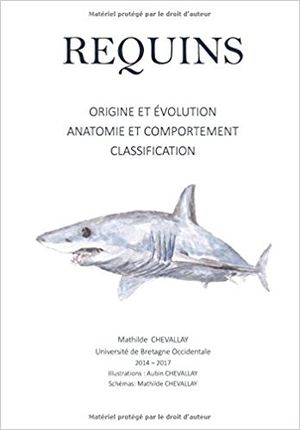 Requins: Origine et Evolution, Anatomie et Comportement, Classification