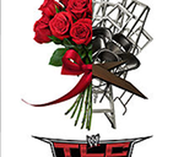 image-https://media.senscritique.com/media/000017727045/0/wwe_tlc_tables_ladders_and_chairs_2013.png