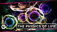 Physics of Life