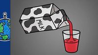 Milk Is Just Filtered Blood