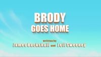 Brody rentre à la maison