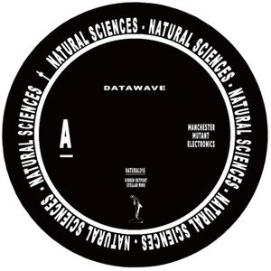 Datawave (Single)