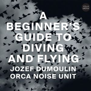 A Beginner's Guide to Diving and Flying