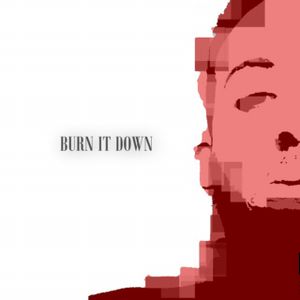 Burn It Down (Single)