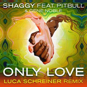 Only Love (Luca Schreiner remix)