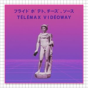 T E L E M A X V I D E O W A Y