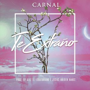 Te extraño (Single)