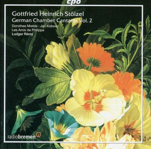 German Chamber Cantatas, Vol 2