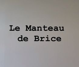 image-https://media.senscritique.com/media/000017757688/0/le_manteau_de_brice.jpg