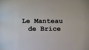 Le manteau de Brice