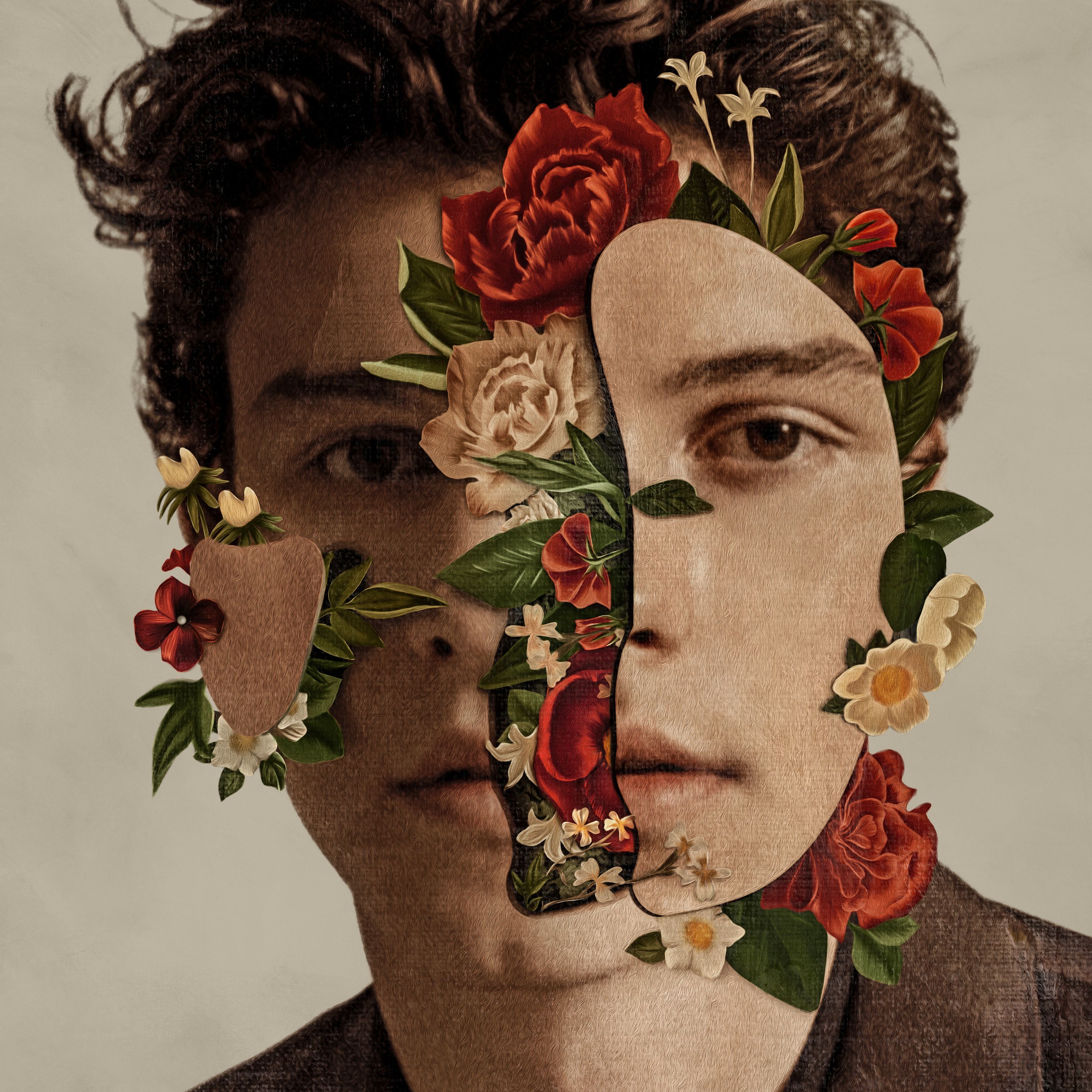 Resultado de imagem para shawn mendes in my blood