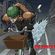 Avatar Bladeal Avatar Bladeal