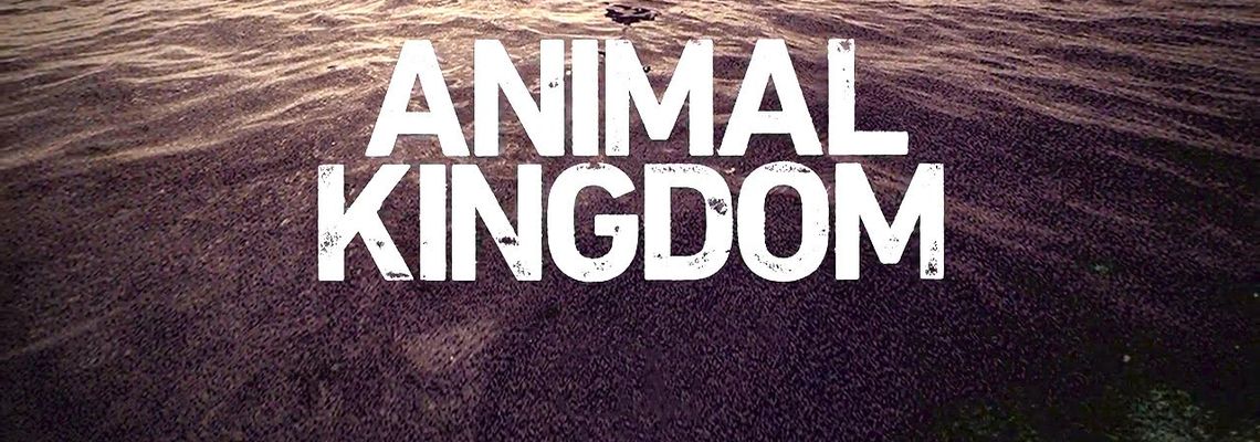 Cover Animal Kingdom