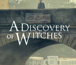 image-https://media.senscritique.com/media/000017760381/0/le_livre_perdu_des_sortileges_a_discovery_of_witches.jpg