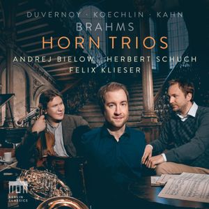 Trio for Horn, Violin and Piano no. 2 in F major : I. Adagio - Larghetto - Maestoso - Allegro