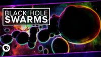 Black Hole Swarms