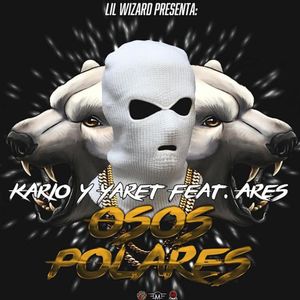 Osos polares