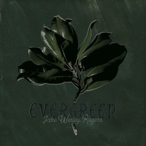 Love You Like No Other