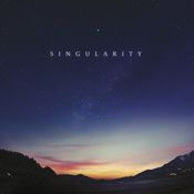 Pochette Singularity Pochette Singularity