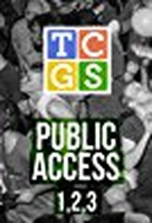 The Chris Gethard Show: Public Access