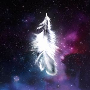 Feather Falling Supernova