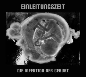 Die Infektion Der Geburt